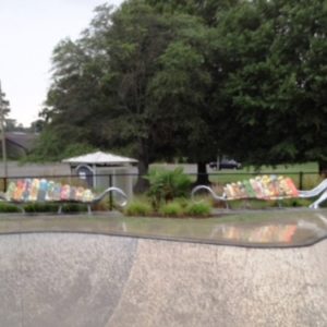Skate Trees and Leaf Benches