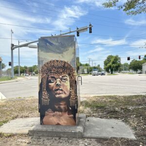 Southside Vinyl Wrap Project (11 utility/signal boxes)