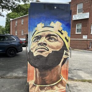 Southside Vinyl Wrap Project (11 utility/signal boxes)