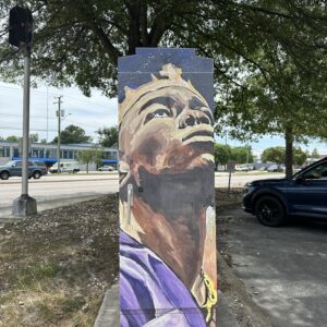 Southside Vinyl Wrap Project (11 utility/signal boxes)