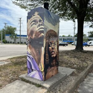 Southside Vinyl Wrap Project (11 utility/signal boxes)
