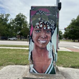 Southside Vinyl Wrap Project (11 utility/signal boxes)