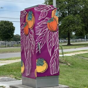 Southside Vinyl Wrap Project (11 utility/signal boxes)