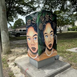 Southside Vinyl Wrap Project (11 utility/signal boxes)