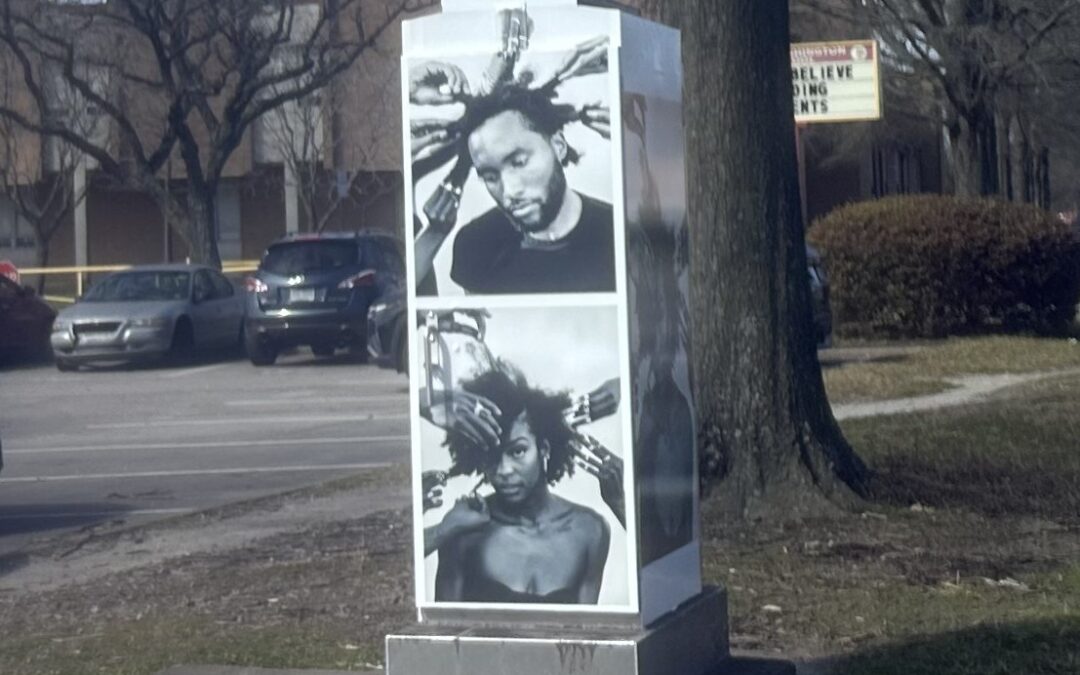 Watch for vinyl wraps recently installed in Ward 3 featuring the work of 9 local artists!