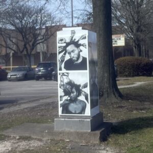 Watch for vinyl wraps recently installed in Ward 3 featuring the work of 9 local artists!